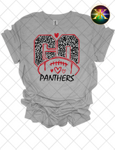 Go Panthers Football